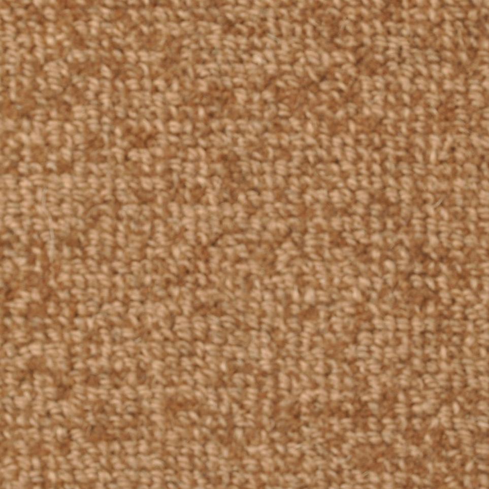 Loop Saddle Brown Beige/Tan Carpet