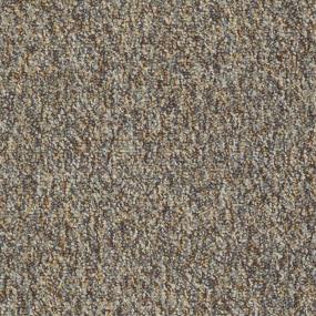 Loop Beef Broth Gray Carpet