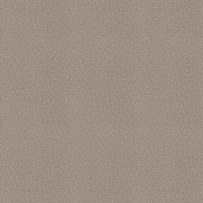 Textured Saxony Trade Winds Beige/Tan Carpet