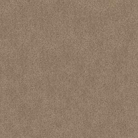 Texture Macadamia Brown Carpet