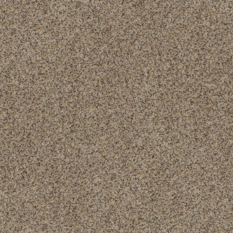 Texture Macadamia Brown Carpet