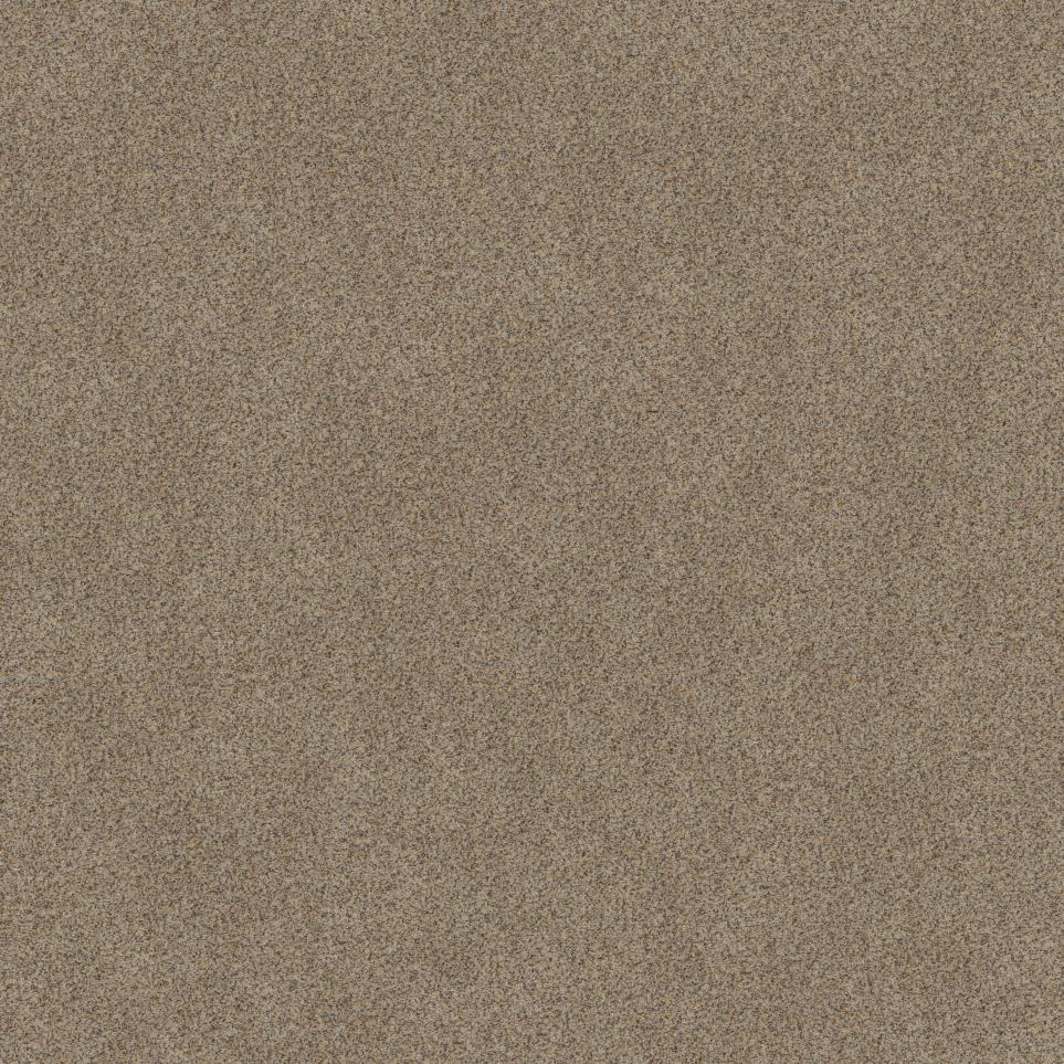 Texture Macadamia Brown Carpet