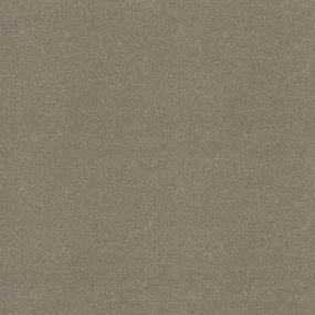 Textured Saxony Barista Beige/Tan Carpet