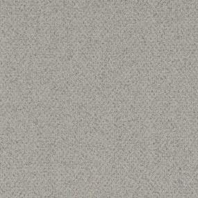 Berber Legend Gray Carpet