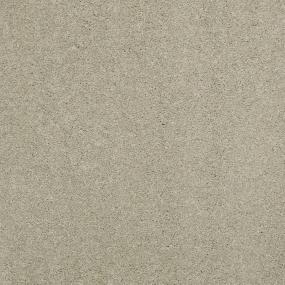 Textured Saxony Bough Beige/Tan Carpet