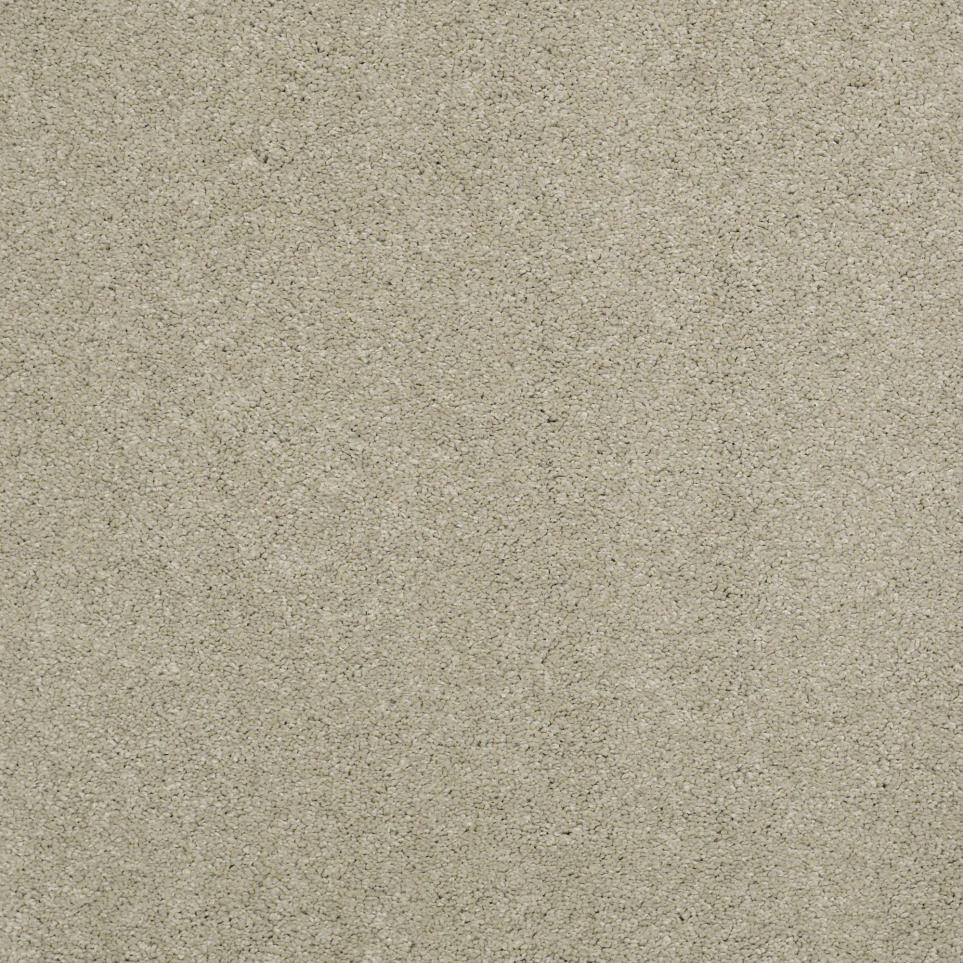 Texture Bough Beige/Tan Carpet