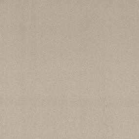 Pattern Vanilla Beige/Tan Carpet