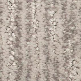 Pattern Breeze Gray Carpet