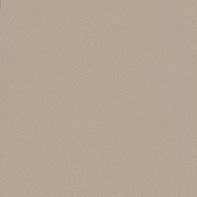 Textured Saxony Teakwood Beige/Tan Carpet