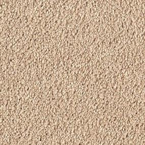 Textured Saxony Canvas Beige/Tan Carpet