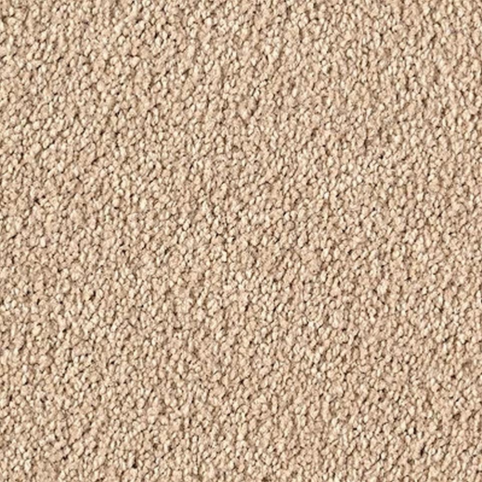 Textured Saxony Canvas Beige/Tan Carpet