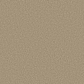 Textured Saxony STUDIO LOFT Beige/Tan Carpet