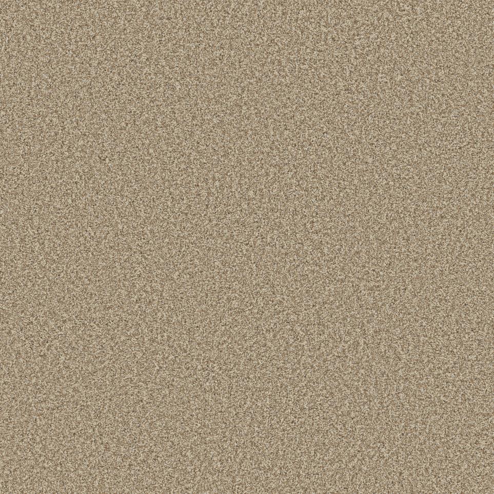 Textured Saxony Potter S Clay Beige/Tan Carpet