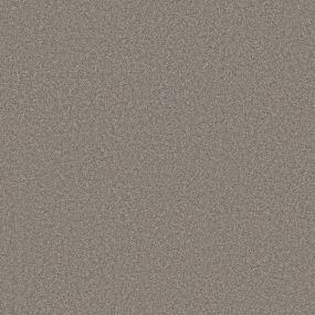 Texture Adventurer Brown Carpet