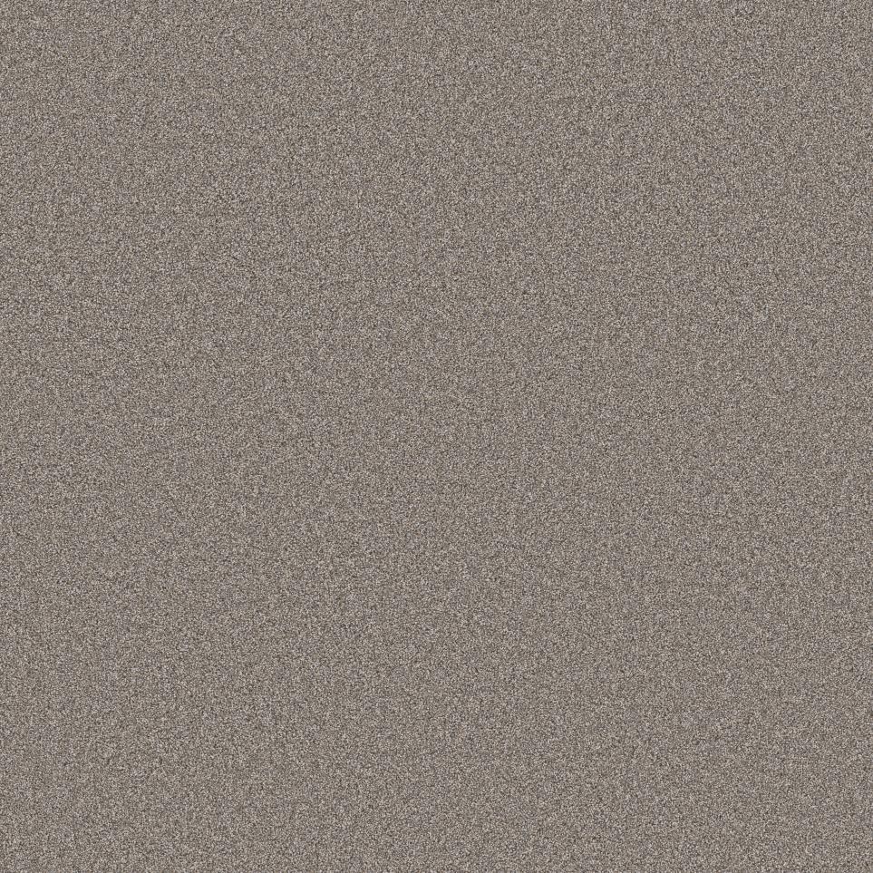 Texture Adventurer Brown Carpet
