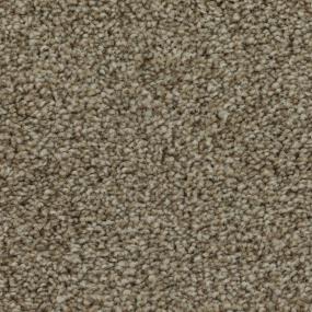 Pattern Tea Rose Brown Carpet