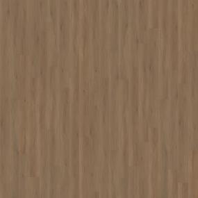 Sandalwood Surge