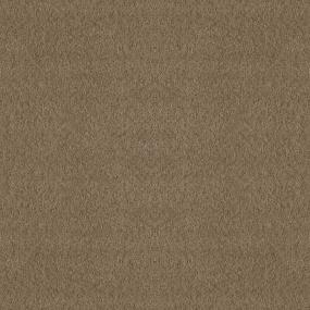 Pattern Saloon Beige/Tan Carpet