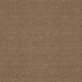 Pattern Saloon Beige/Tan Carpet