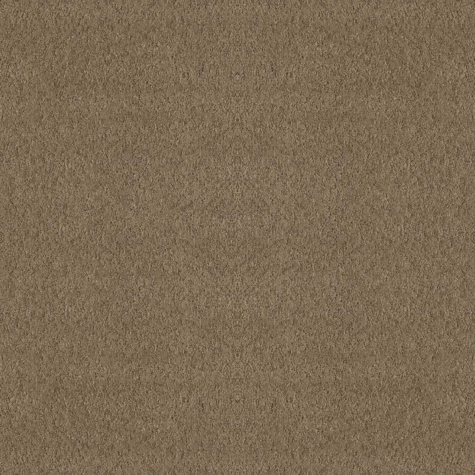 Pattern Saloon Beige/Tan Carpet