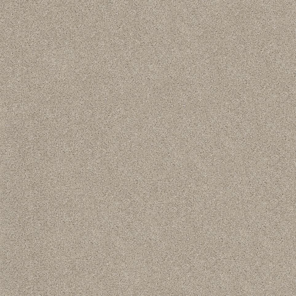 Plush Saxony Sands Of Time Beige/Tan Carpet