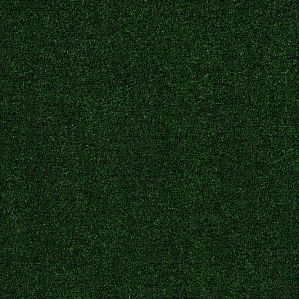 Specialty Holly Leaf Green Carpet