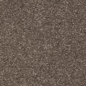 Textured Saxony Portobello Brown Carpet