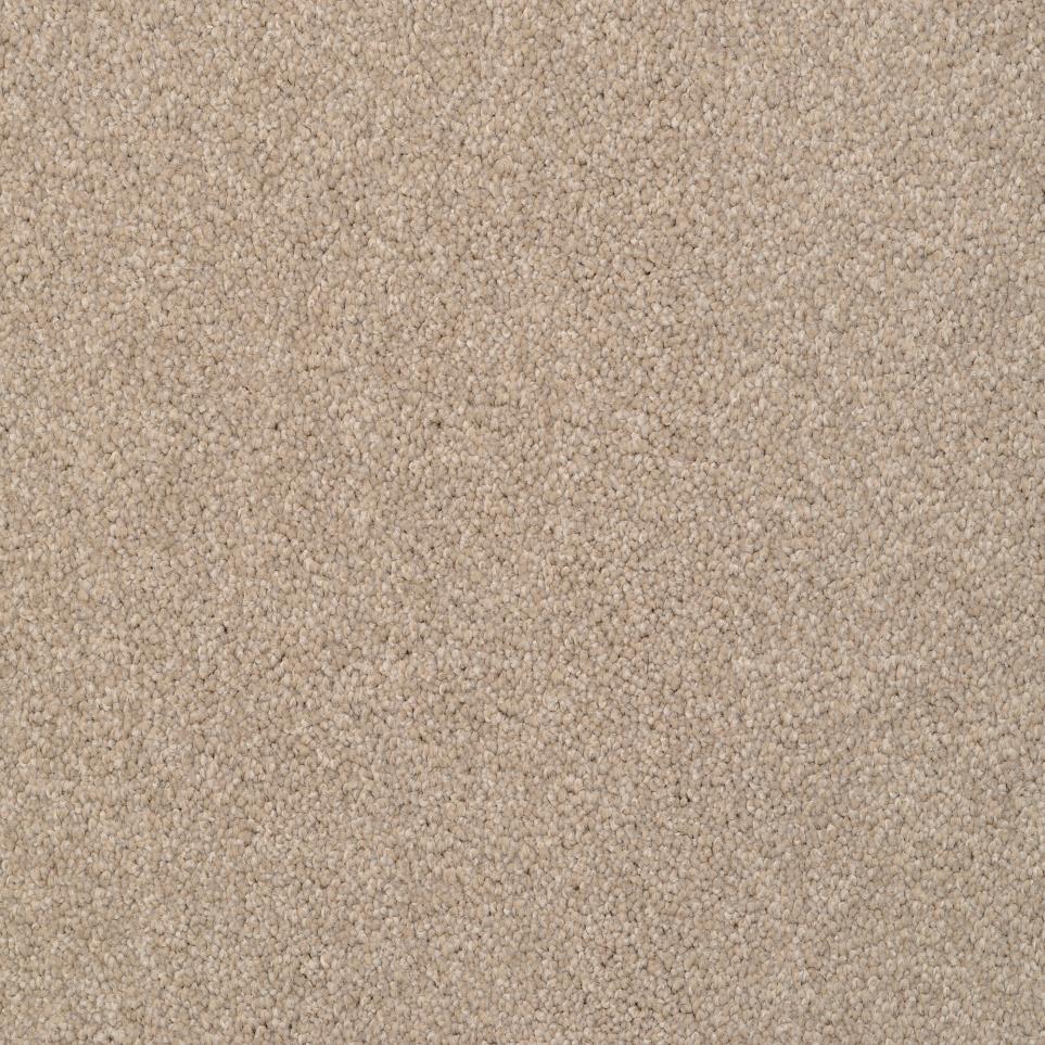Texture Driftwood Beige/Tan Carpet