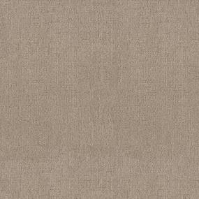 Pattern Cobblestone Beige/Tan Carpet