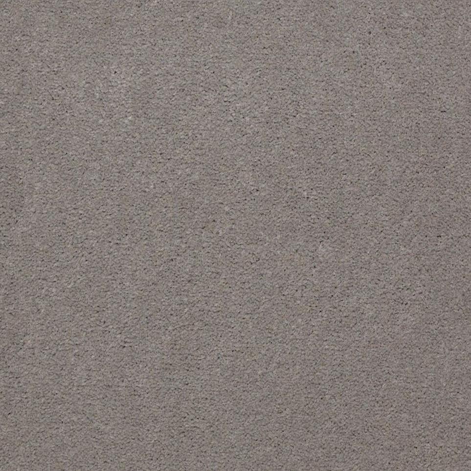 Cut Pile Cement Gray Carpet