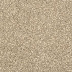 Casual Texture Marble Beige/Tan Carpet
