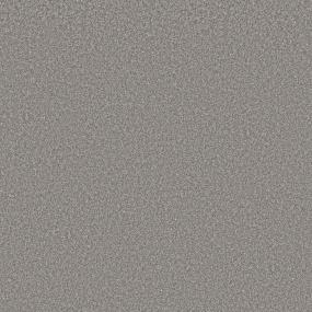 Cut Pile Stone Path Gray Carpet