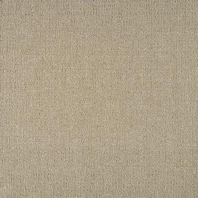 Pattern Gallery Beige/Tan Carpet