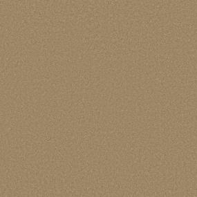 Textured Saxony Mojave Brown Carpet