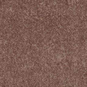 Textured Saxony Candy Bar Brown Carpet
