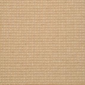 Pattern Butterscotch Beige/Tan Carpet