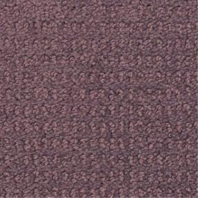 Pattern Iris Petal Purple Carpet