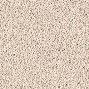 Textured Saxony Breathless Beige/Tan Carpet