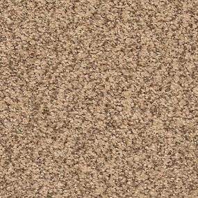 Textured Saxony Fallow Beige/Tan Carpet