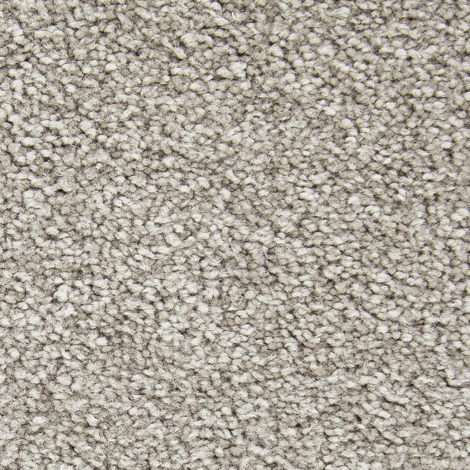 Textured Saxony Froth Beige/Tan Carpet