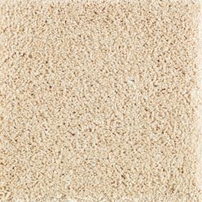 Textured Saxony Oatmeal Beige/Tan Carpet