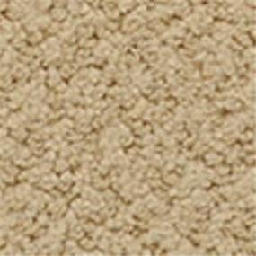 Pattern Fawn Beige/Tan Carpet