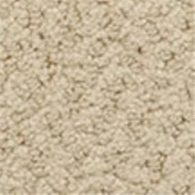 Pattern Warm Tan Beige/Tan Carpet
