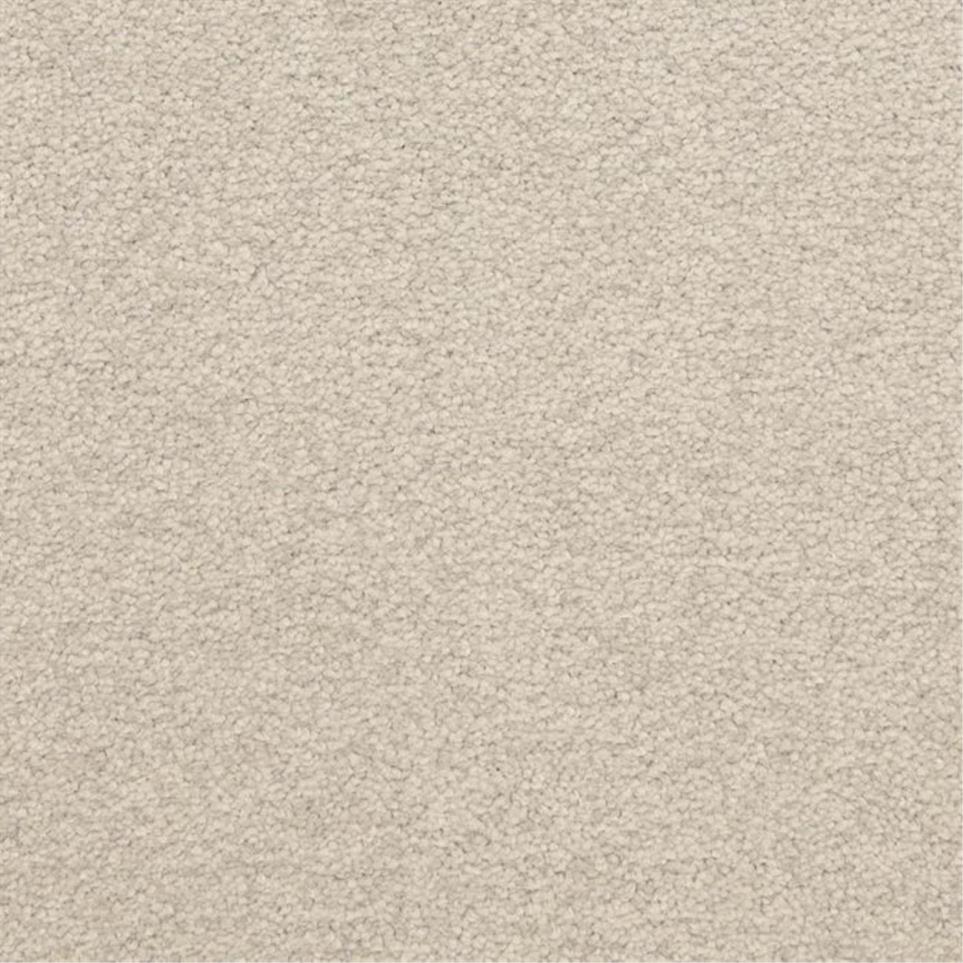 Casual Texture Iceberg White Carpet