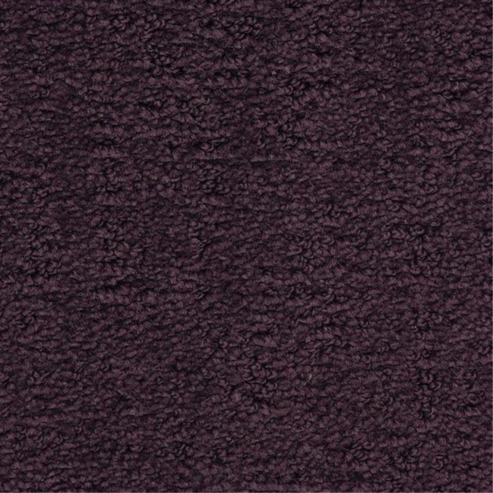 Pattern Cabana Purple Carpet