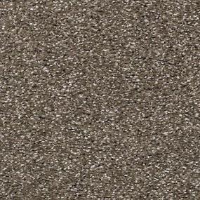 Textured Saxony Driftwood Brown Carpet