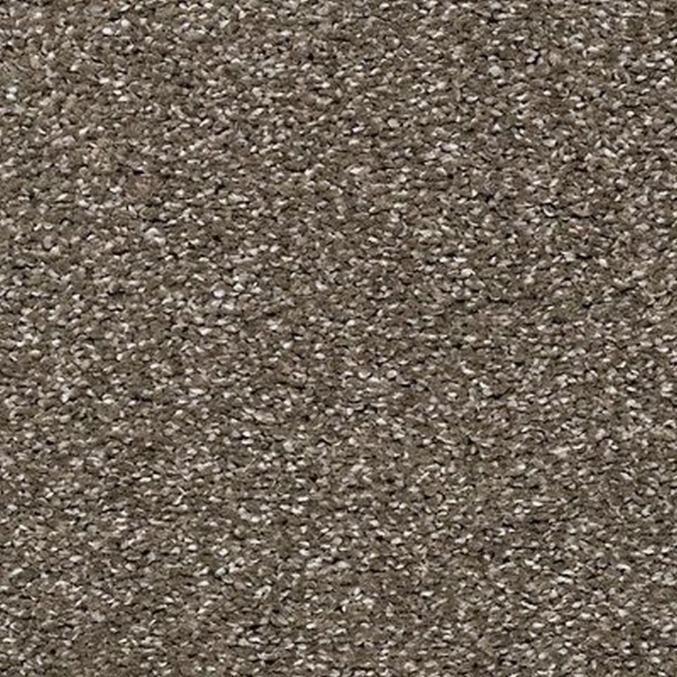 Textured Saxony Driftwood Brown Carpet