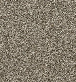 Textured Saxony Versatile Brown Carpet