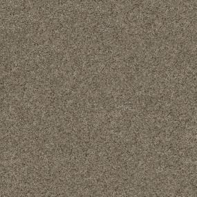 Textured Saxony Oxford Beige/Tan Carpet