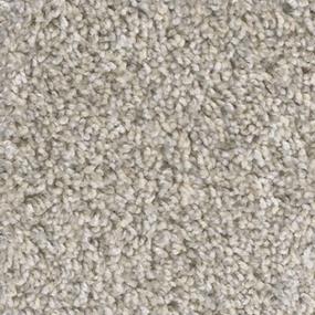 Textured Saxony Paragon Gray Carpet